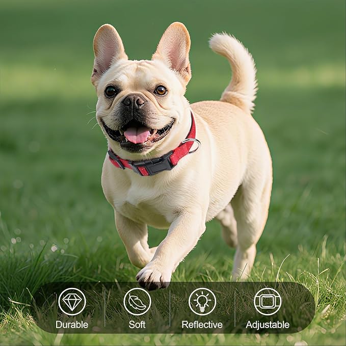 Reflective Dog Collar for Small Dogs with Quick Release Buckle