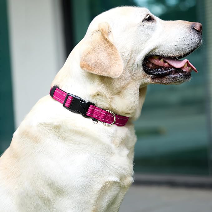 Reflective Nylon Dog Collar for Small Dogs,Neoprene Padding,Hot Pink,XS
