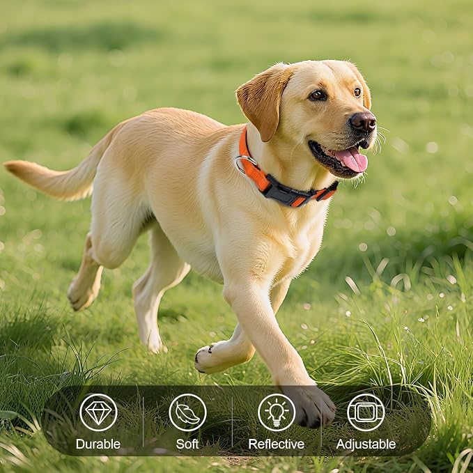 Reflective Dog Collar for Large Dogs with Quick Release Buckle