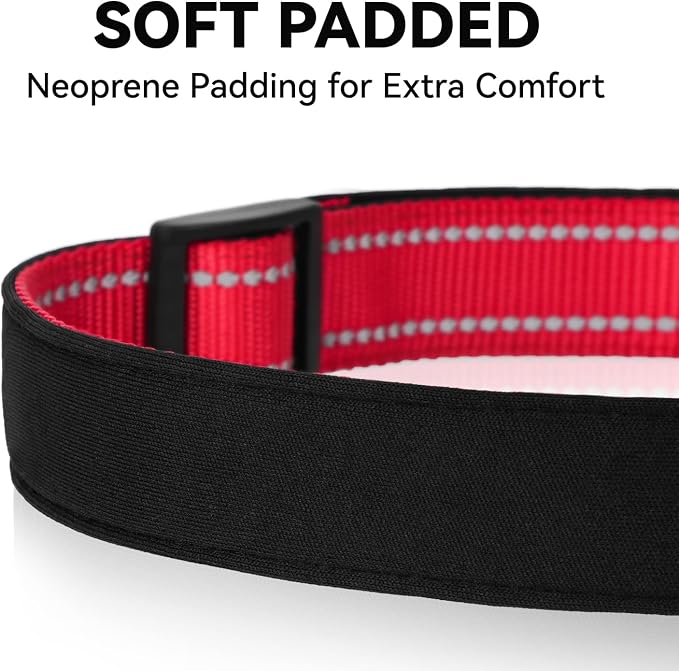 Reflective Dog Collar for Small Dogs with Quick Release Buckle