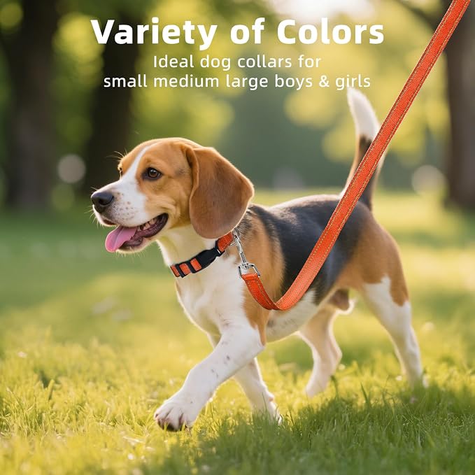 Reflective Dog Collar for Large Dogs with Quick Release Buckle