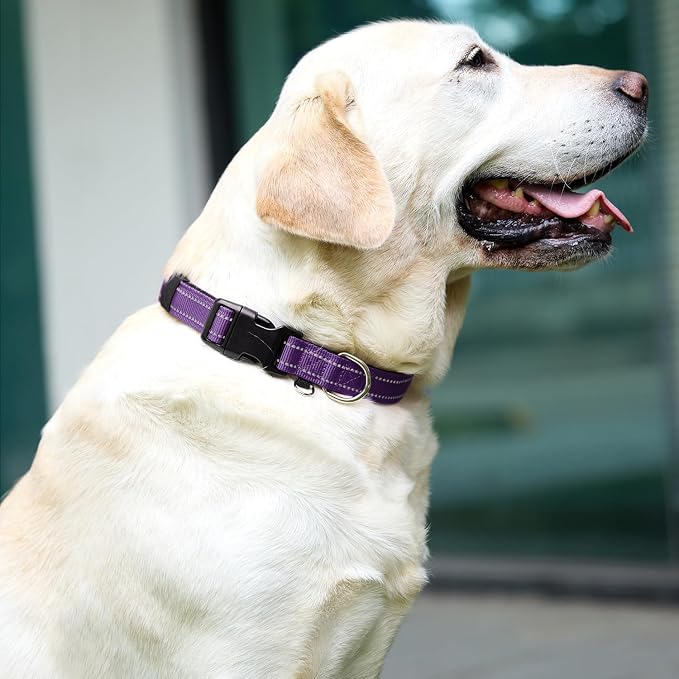 Reflective Nylon Dog Collar for Medium Dogs,Neoprene Padding,Purple