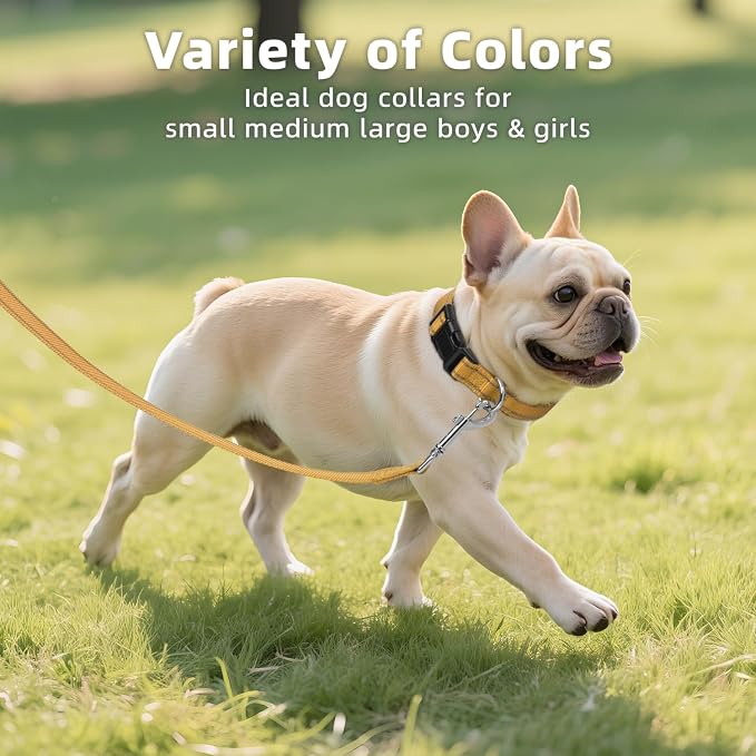 Reflective Dog Collar for Small Dogs with Quick Release Buckle