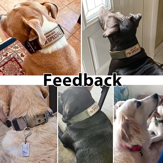 Tactical Dog Collar Heavy Duty Metal Buckle Collars for Medium Large Dogs