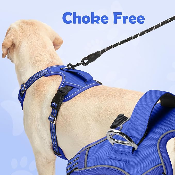 Funfox Dog Harness No Pull, Adjustable Pet Vest Harness, Super Soft Material with Vertical Handle Easy Control, Reflective Night Walking, 2 Leash Clips for Medium Sized Dogs, Blue, M