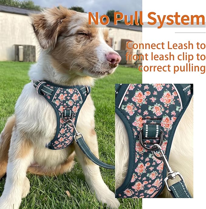 HEELE Dog Harness, Reflective, No Pull No Choke, Flower Blackish Green, S