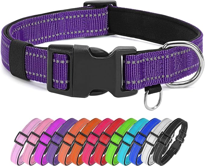 Reflective Nylon Dog Collar for Medium Dogs,Neoprene Padding,Purple