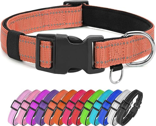 Reflective Nylon Dog Collar for Large Dogs,Neoprene Padding,Coral