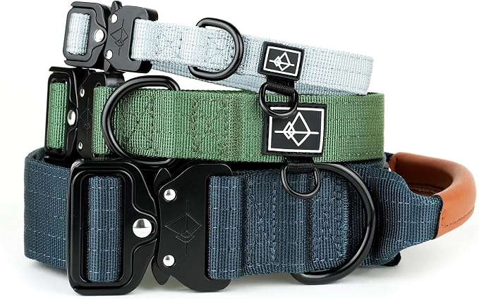 MADE TO ROAM Explorer Dog Collar | Heavy Duty Nylon & Durable Metal Buckle