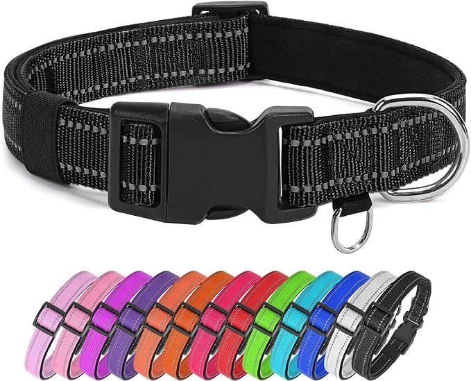 Reflective Nylon Dog Collar for Large Dogs,Neoprene Padding,Black