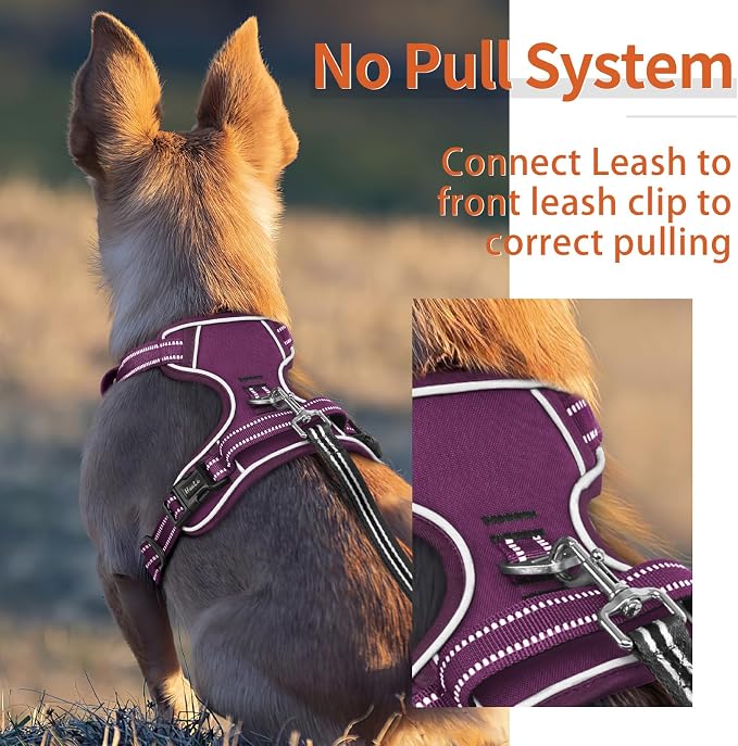 HEELE Dog Harness for Small Dogs No Pull Dog Vest Harness for Small Dog with Soft Padded Handle Reflective for Outdoor Training, Purple(Matching Trim), S