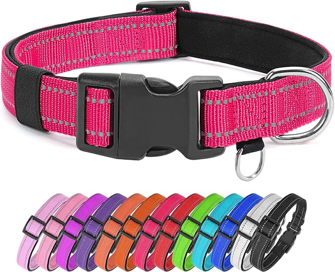 Reflective Nylon Dog Collar for Medium Dogs,Neoprene Padding,Hot Pink