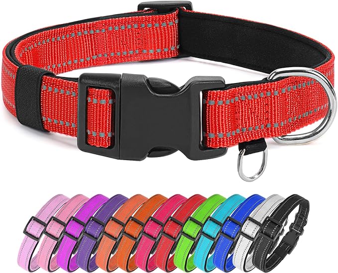 Reflective Nylon Dog Collar for Medium Dogs,Neoprene Padding,Red