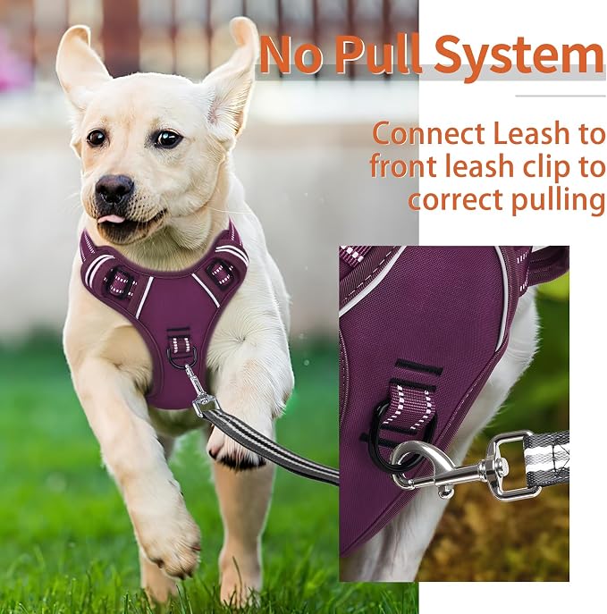 HEELE Dog Harness for Small Dogs No Pull Dog Vest Harness for Small Dog with Soft Padded Handle Reflective for Outdoor Training, Purple(Matching Trim), S