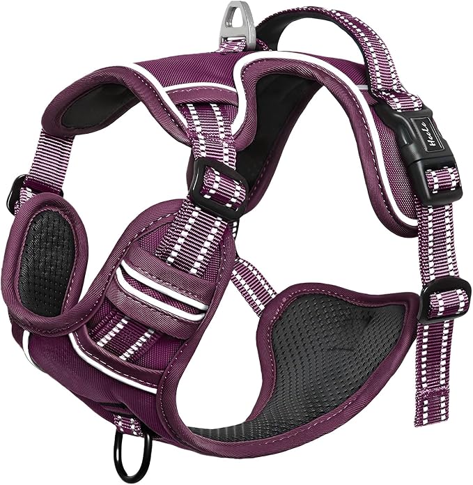 HEELE Dog Harness for Small Dogs No Pull Dog Vest Harness for Small Dog with Soft Padded Handle Reflective for Outdoor Training, Purple(Matching Trim), S