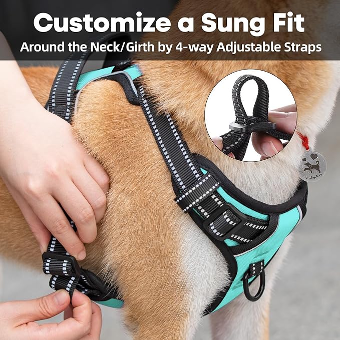 PoyPet No Pull Dog Harness Small, Reflective Vest with Front Clip & Handle