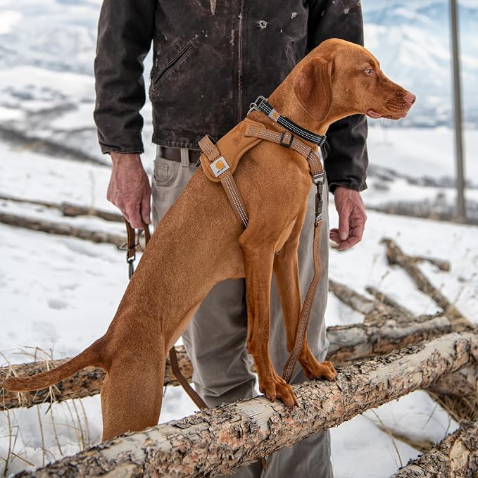 Carhartt Nylon Duck No Pull Dog Harness Faded Fatigue S